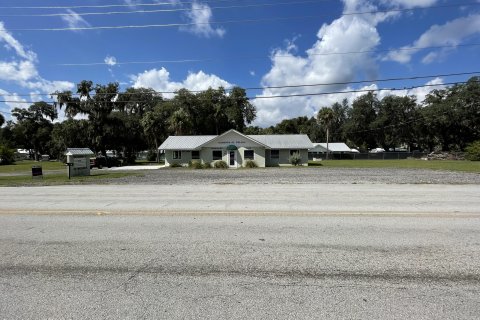 Immobilier commercial à louer à Welaka, Floride: 200.67 m2 № 829585 - photo 3