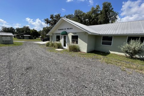 Immobilier commercial à louer à Welaka, Floride: 200.67 m2 № 829585 - photo 4