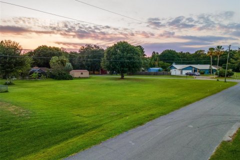 Terreno en venta en Zephyrhills, Florida № 218372 - foto 4