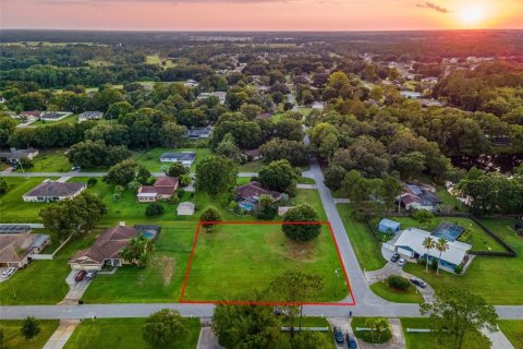 Land in Zephyrhills, Florida № 218372 - photo 6