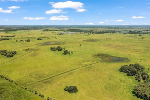 Land in Okeechobee, Florida № 733485 - photo 4