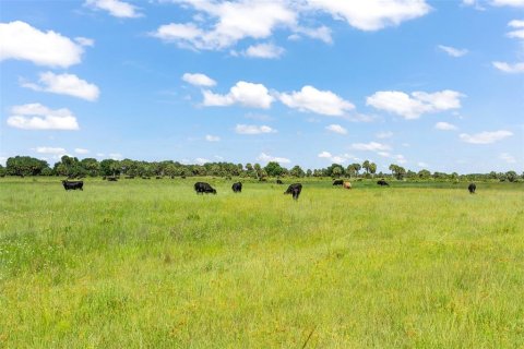 Land in Okeechobee, Florida № 733485 - photo 12