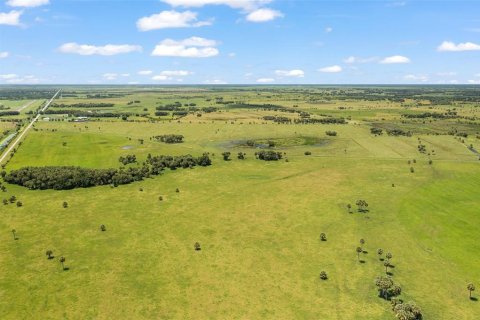 Land in Okeechobee, Florida № 733485 - photo 10