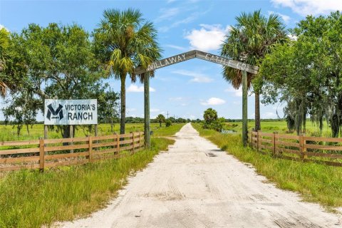 Terrain à vendre à Okeechobee, Floride № 733485 - photo 1