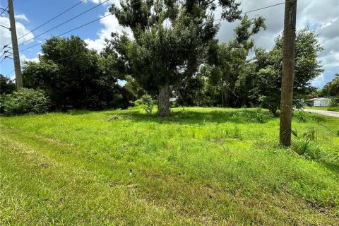 Land in Punta Gorda, Florida № 1289855 - photo 14