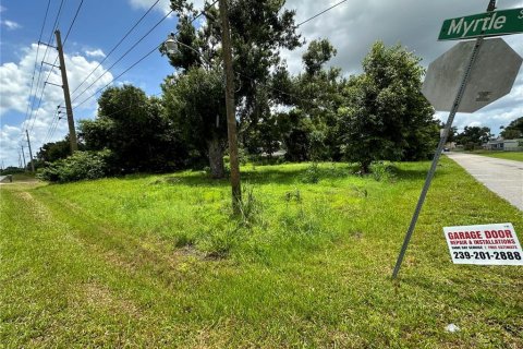 Land in Punta Gorda, Florida № 1289855 - photo 21