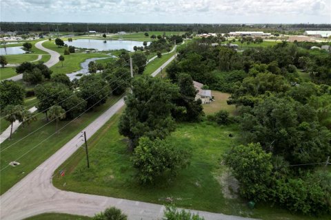 Terrain à vendre à Punta Gorda, Floride № 1289855 - photo 30