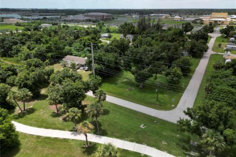 Terreno en venta en Punta Gorda, Florida № 1289855 - foto 11