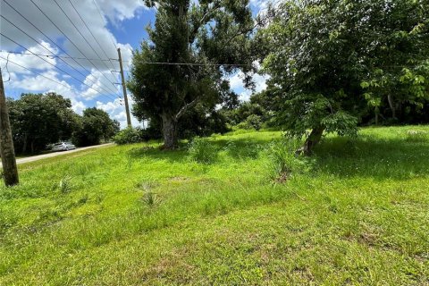 Land in Punta Gorda, Florida № 1289855 - photo 15