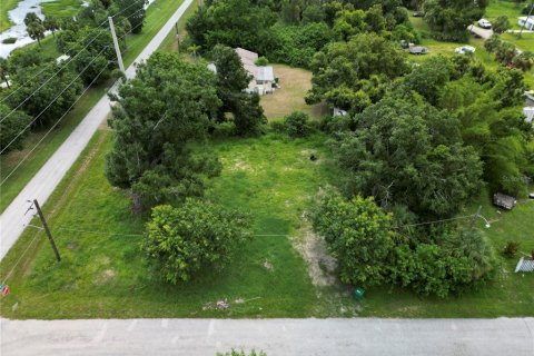 Terrain à vendre à Punta Gorda, Floride № 1289855 - photo 2