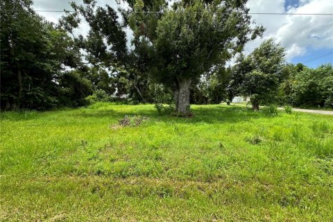 Terreno en venta en Punta Gorda, Florida № 1289855 - foto 13