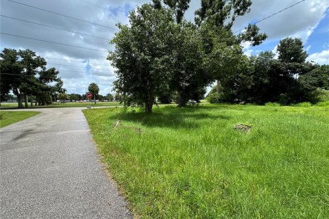 Terreno en venta en Punta Gorda, Florida № 1289855 - foto 18