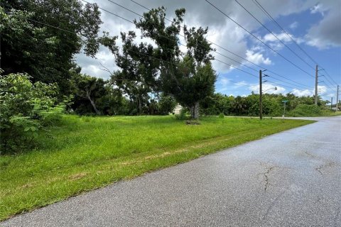 Terrain à vendre à Punta Gorda, Floride № 1289855 - photo 4