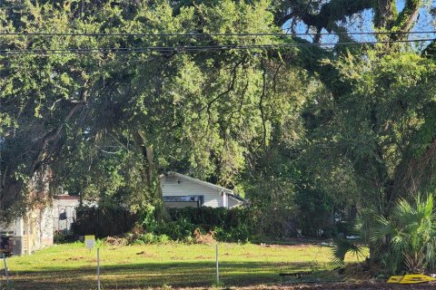 Купить земельный участок в Тампа, Флорида № 1084430 - фото 4