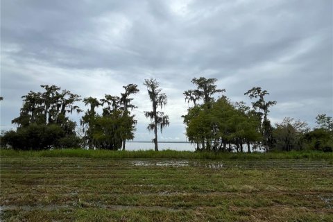 Land in Bunnell, Florida № 1354016 - photo 10