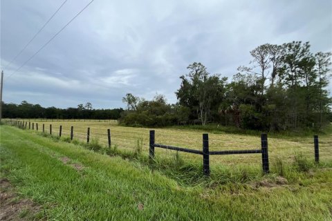 Terrain à vendre à Bunnell, Floride № 1354016 - photo 8