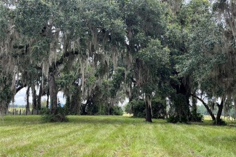 Land in Bunnell, Florida № 1354016 - photo 11