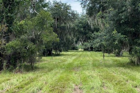 Land in Bunnell, Florida № 1354016 - photo 15