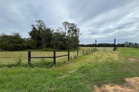 Terrain à vendre à Bunnell, Floride № 1354016 - photo 6