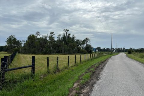 Terrain à vendre à Bunnell, Floride № 1354016 - photo 7