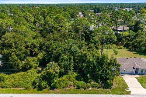 Land in Palm Coast, Florida № 1382470 - photo 2