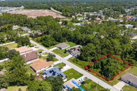 Terreno en venta en Palm Coast, Florida № 1382470 - foto 9