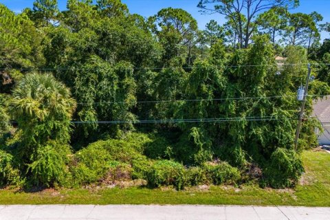 Terreno en venta en Palm Coast, Florida № 1382470 - foto 4