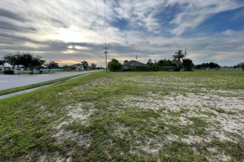 Land in Cape Coral, Florida № 219166 - photo 6