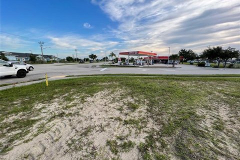 Купить земельный участок в Кейп-Корал, Флорида № 219166 - фото 2
