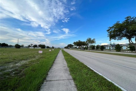 Land in Cape Coral, Florida № 219166 - photo 5