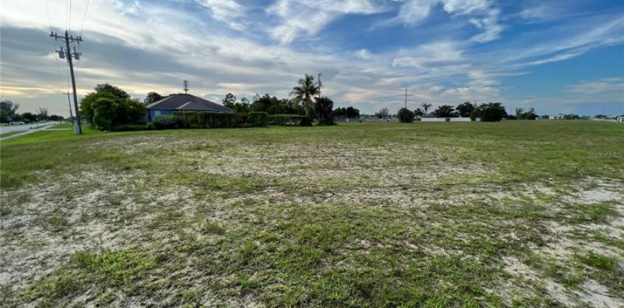 Land in Cape Coral, Florida № 219166
