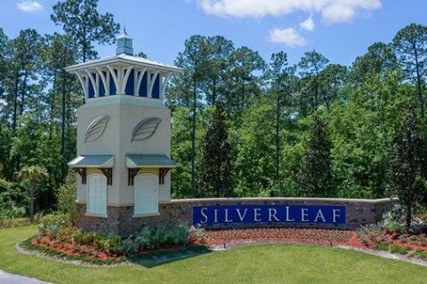 Oak Grove at Silverleaf 60’ in Saint Augustine, Florida № 442003 - photo 8