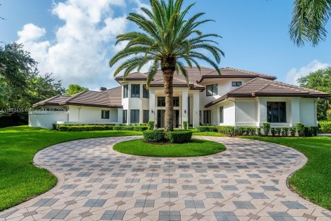 Villa ou maison à vendre à Weston, Floride: 5 chambres, 477.98 m2 № 1374335 - photo 2