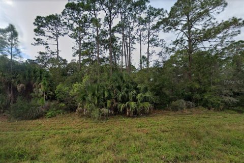 Land in Port Charlotte, Florida № 648675 - photo 4