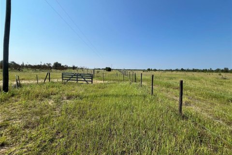 Land in Altha, Florida № 1300496 - photo 7