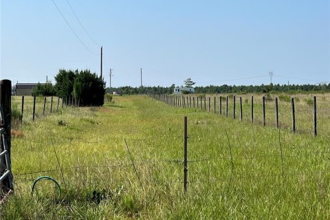 Land in Altha, Florida № 1300496 - photo 11