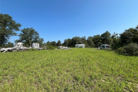 Land in Altha, Florida № 1300496 - photo 2