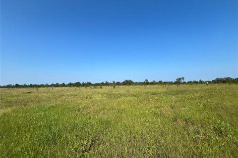 Land in Altha, Florida № 1300496 - photo 6