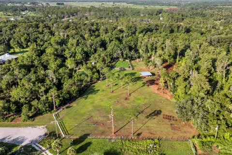 Land in Okeechobee, Florida № 1291767 - photo 10