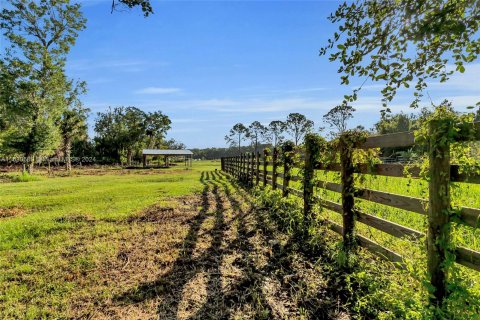 Land in Okeechobee, Florida № 1291767 - photo 22