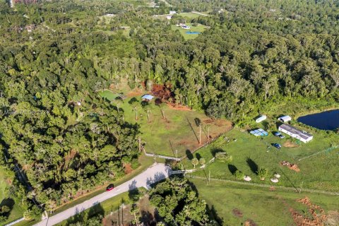 Land in Okeechobee, Florida № 1291767 - photo 2