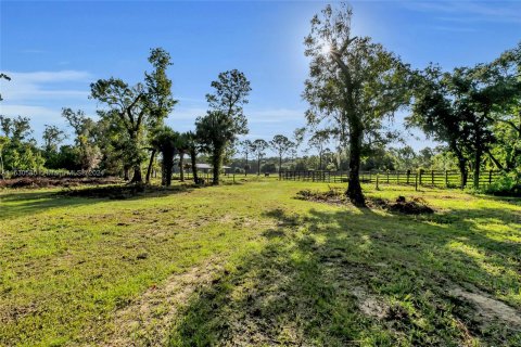 Land in Okeechobee, Florida № 1291767 - photo 23