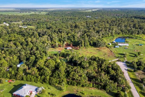 Land in Okeechobee, Florida № 1291767 - photo 7