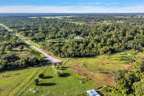 Land in Okeechobee, Florida № 1291767 - photo 12