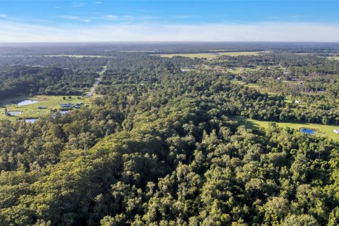 Land in Okeechobee, Florida № 1291767 - photo 4