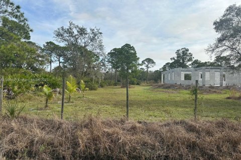 Villa ou maison à vendre à Clewiston, Floride: 3 chambres № 866404 - photo 2