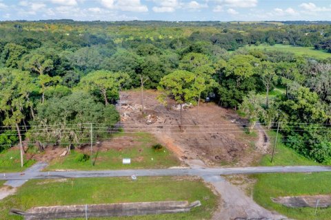 Terreno en venta en Zephyrhills, Florida № 1349289 - foto 2