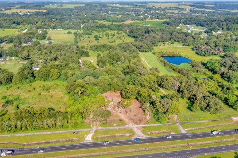 Land in Zephyrhills, Florida № 1349289 - photo 4