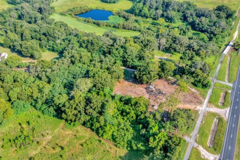 Land in Zephyrhills, Florida № 1349289 - photo 9