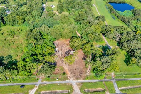 Land in Zephyrhills, Florida № 1349289 - photo 5